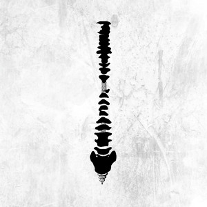 男人小鸡鸡插女人屁屁里面的视频
